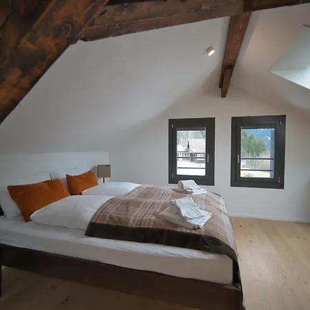 Eiger View Alpine Orman Evi *