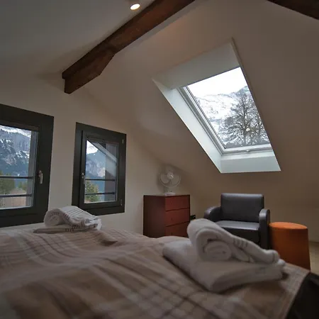 Orman Evi Eiger View Alpine