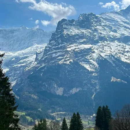 Eiger View Alpine Grindelwald