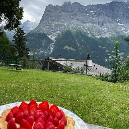 Eiger View Alpine Деревянный коттедж Гриндельвальд