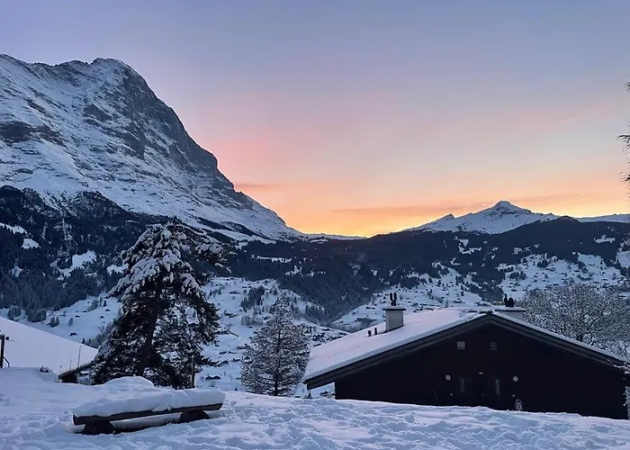 Eiger View Alpine * Grindelwald