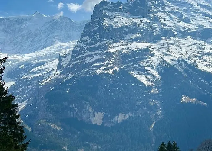 Eiger View Alpine גרינדלוולד