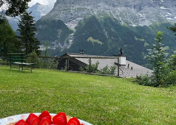 Eiger View Alpine 롯지 그린델발트